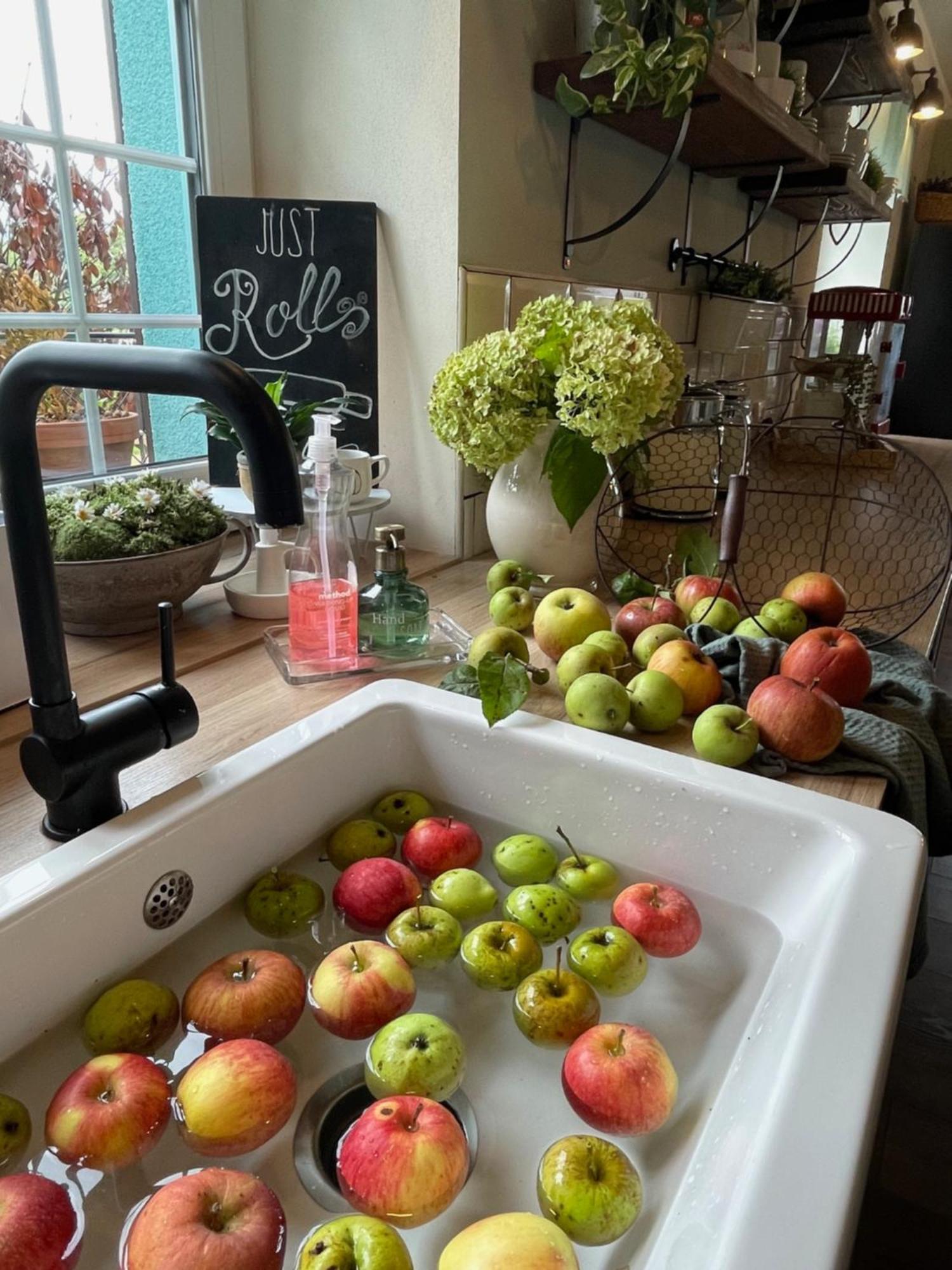 Orchardhouse Farmhouse, Wellness Chrast  Εξωτερικό φωτογραφία